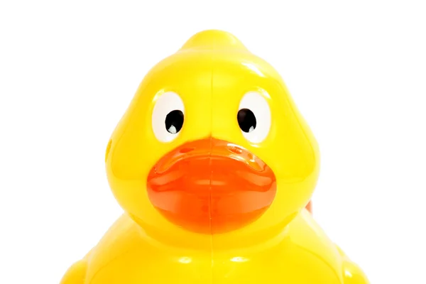 Plastic duck — Stock Photo, Image