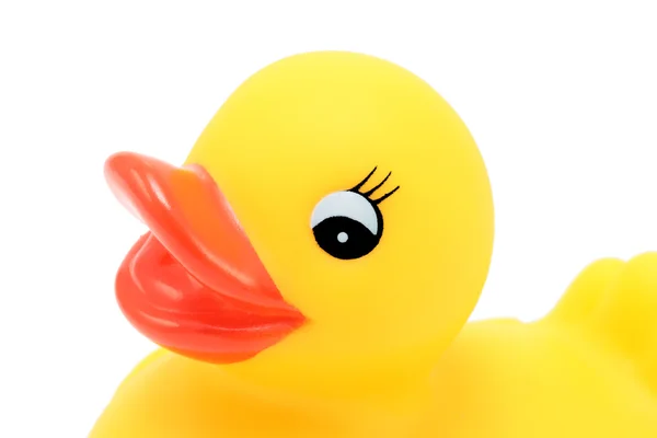 Portrait of rubber ducky — Stock Photo, Image