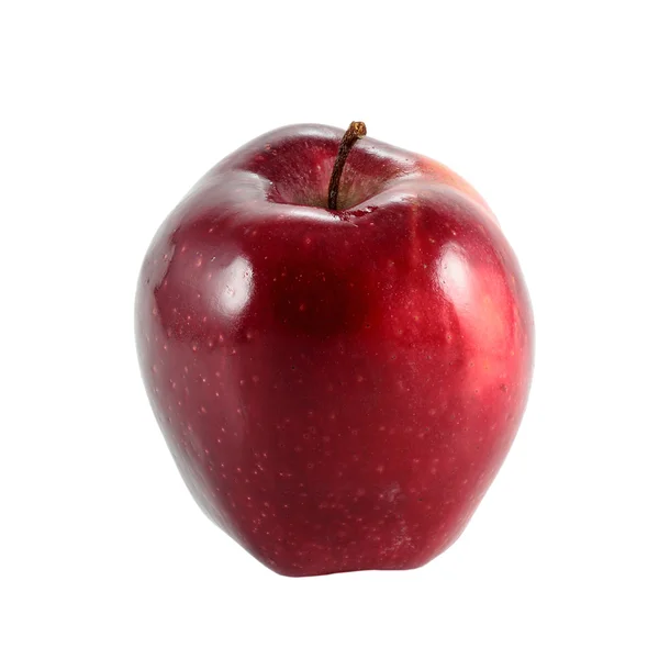 Rött äpple gala — Stockfoto