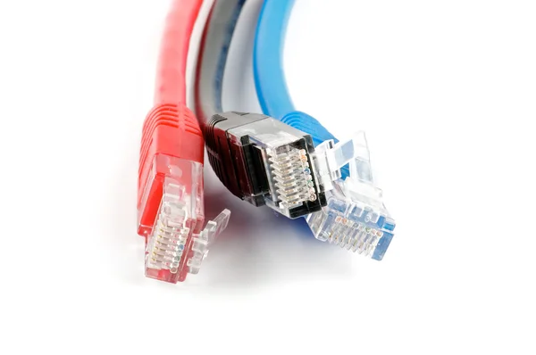 Cordons UTP noirs, rouges et bleus avec connecteurs RJ-45 — Photo