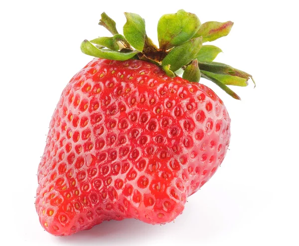 Fresh Ripe Perfect Strawberry — Stock Photo, Image