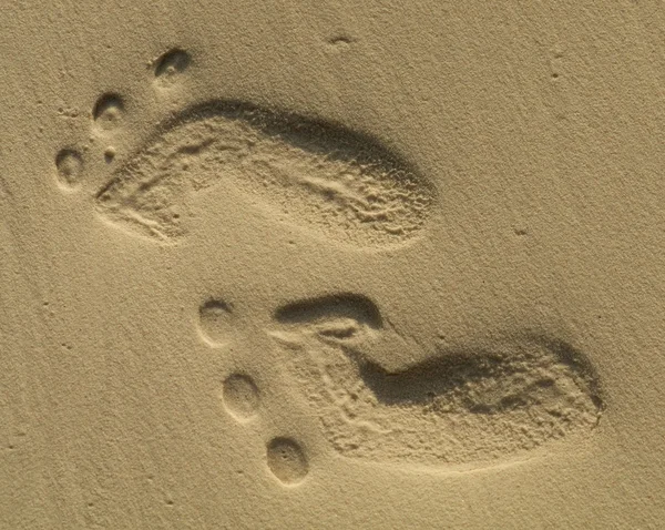 Camel footprint Stock Photos, Royalty Free Camel footprint Images ...