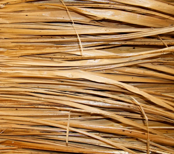Background of palm straw covered polish — Stock Photo, Image