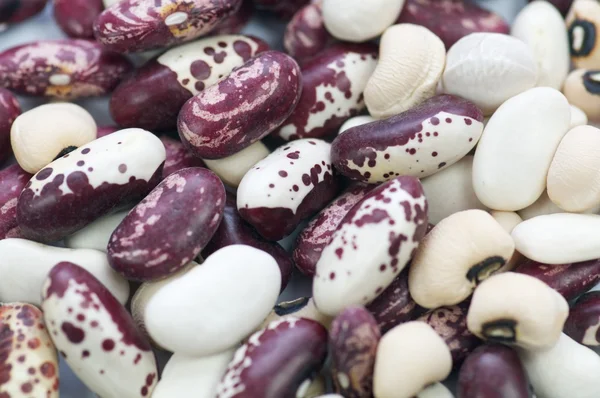 Bean, sebzeli yemekler — Stok fotoğraf