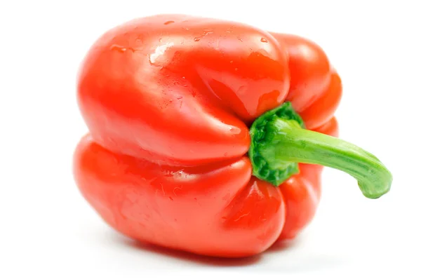 Red Bell Pepper — Stock Photo, Image