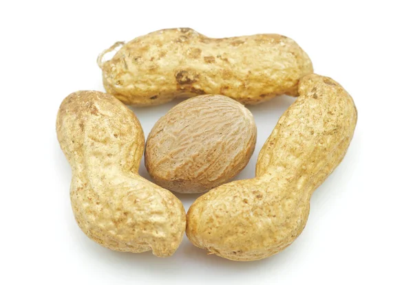 Jordnötter, nötter — Stockfoto