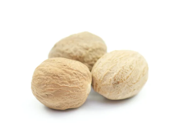 Peanut, Nut — Stock Photo, Image