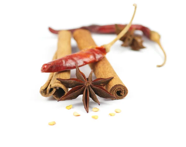 Cinnamon, anice and chili — Stock Photo, Image