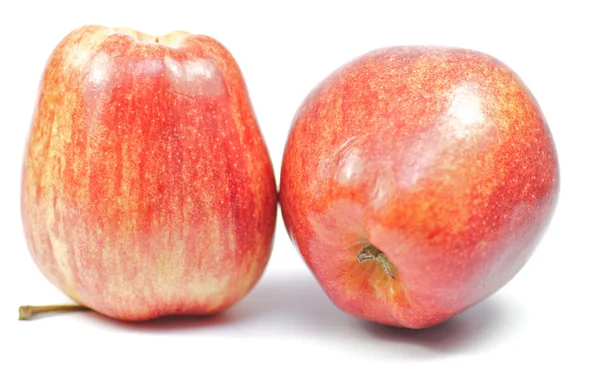 Manzanas sobre fondo blanco —  Fotos de Stock