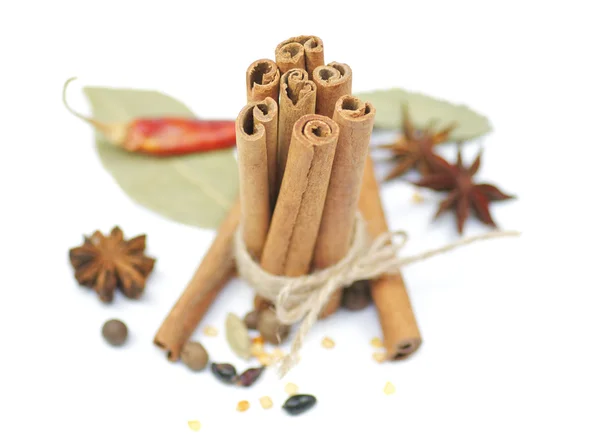 Cinnamon, Anise, carnation and pepper — Stock Photo, Image