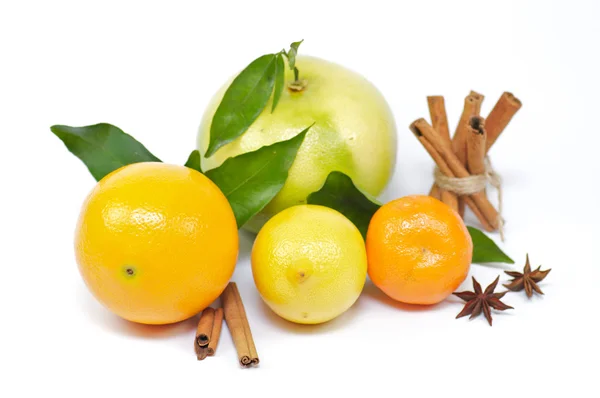 Citrus mix with spices — Stock Photo, Image