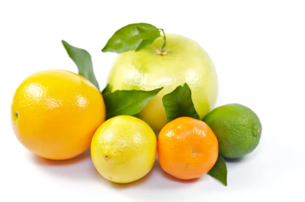 Citrus Mix — Stock Photo, Image