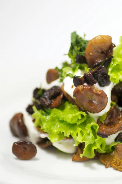 Cogumelos Chanterelles com folhas de salada e creme azedo isolado — Fotografia de Stock