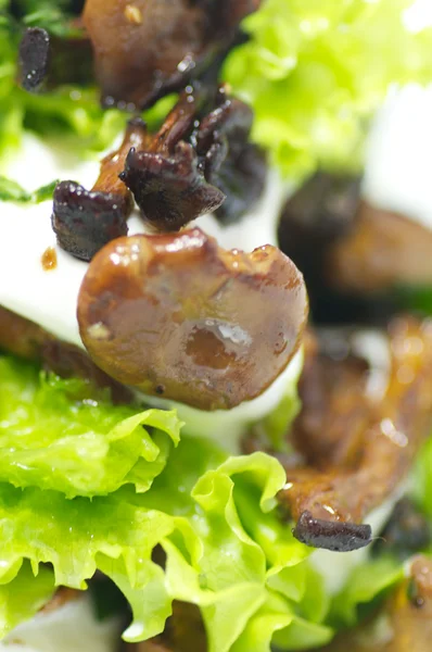 Chanterelles mushrooms with salad leaves and sour cream close-up — Stock Photo, Image