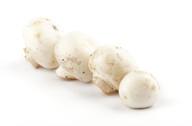 Beyaz champignon mantar