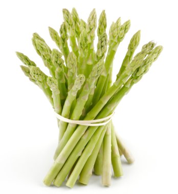 Asparagus sprouts clipart