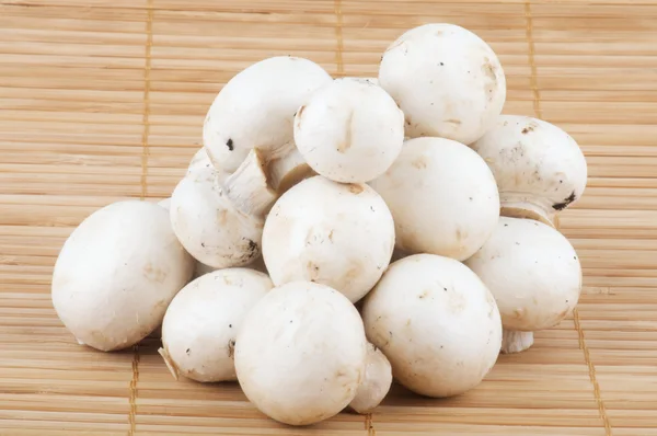 White Champignon Mushroom — Stock Photo, Image