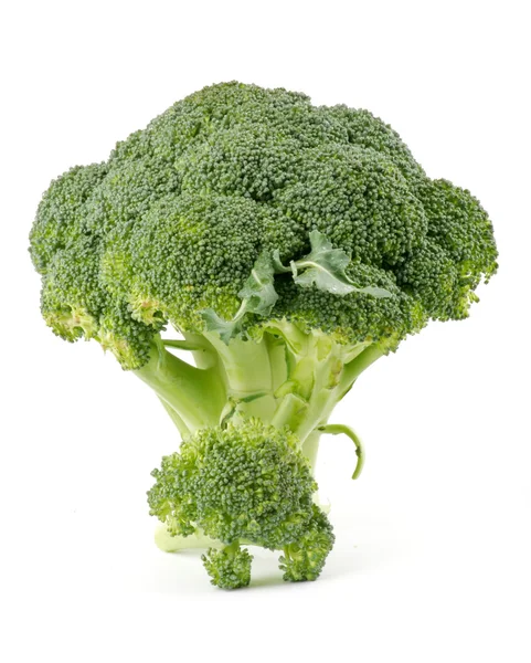 Två broccolibuketter — Stockfoto