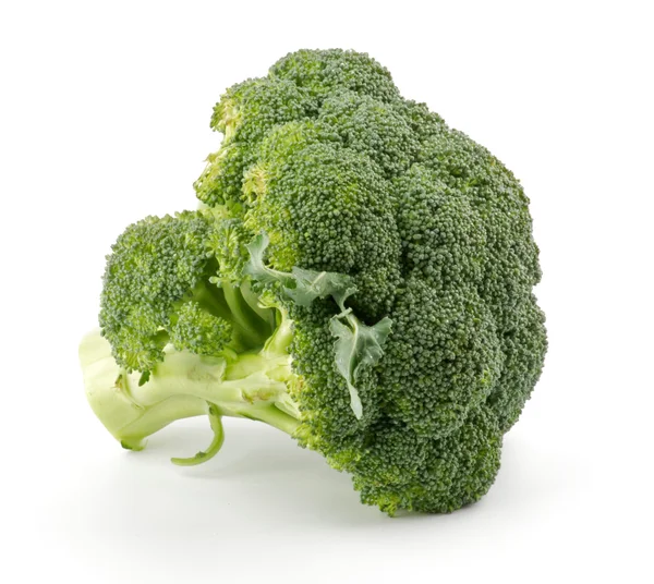 Florete individual brócoli — Stockfoto