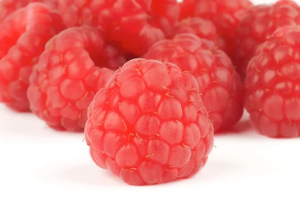 Fresh Ripe Perfect Raspberry — Stock Photo, Image