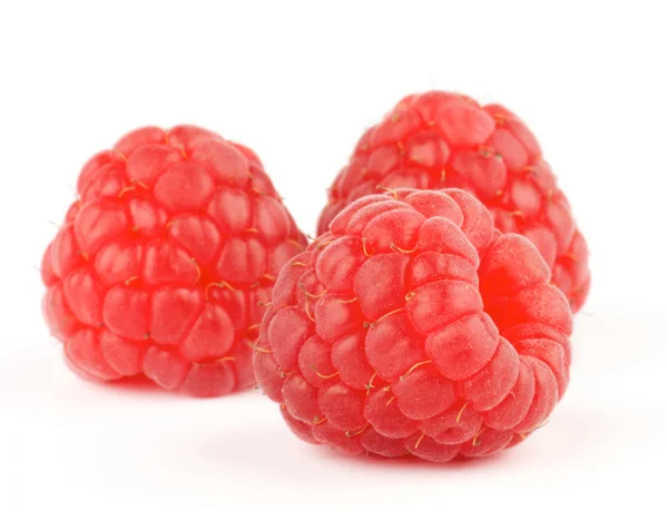 Fresh Ripe Perfect Raspberry — Stock Photo, Image