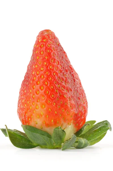 新鲜成熟完美草莓 — 图库照片