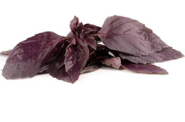 Raw Fresh Basil leafs — Stock Photo, Image