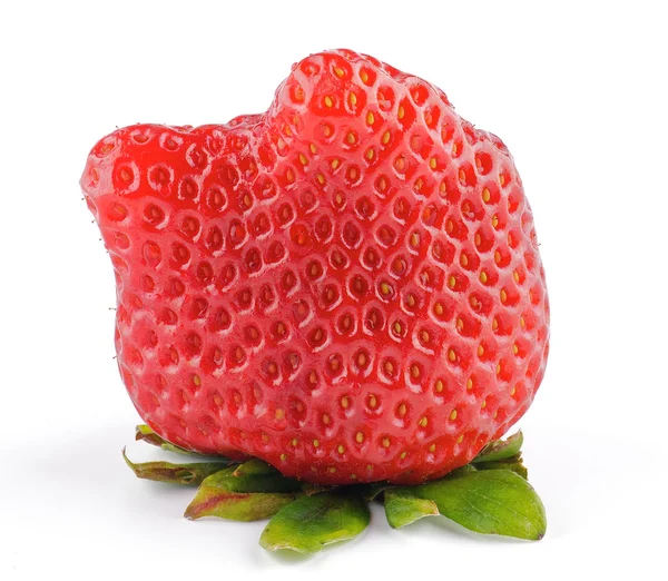 新鲜成熟完美草莓 — 图库照片
