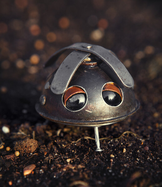 Железные чувства
