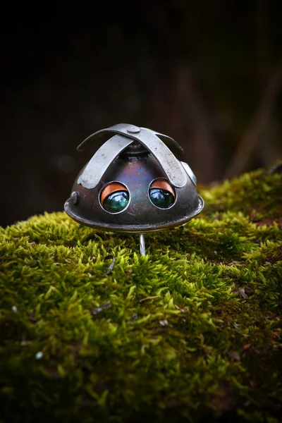 Propellerhead 在森林里 — 图库照片