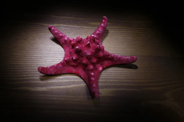 Морської зірки — стокове фото