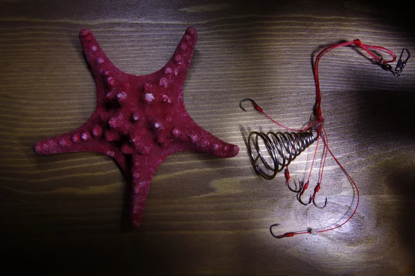海の星とスピナー — ストック写真