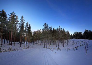 Finland winter SOTKAMO clipart