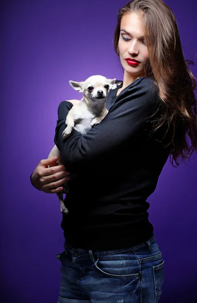 Chihuahua ile güzel model — Stok fotoğraf
