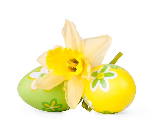 Ouă de Paști cu floare narcisă — Fotografie, imagine de stoc