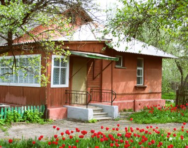 ev ve Bahçe ile kırmızı lale