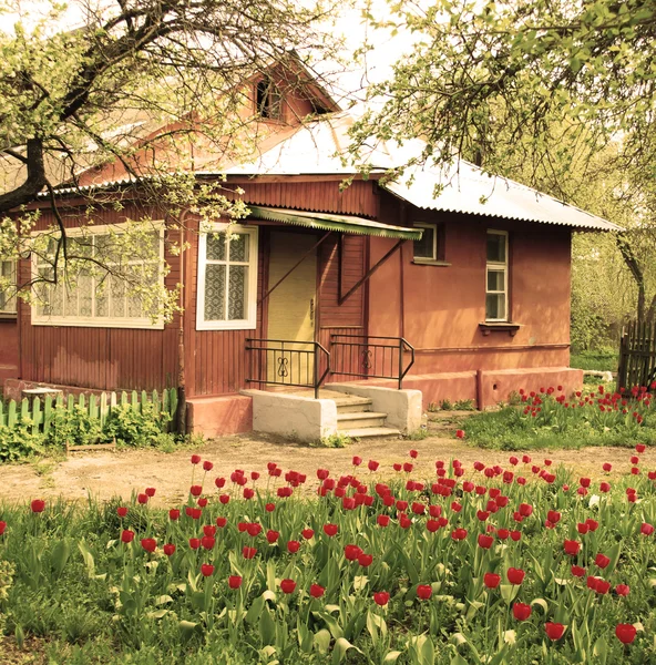 House and garden with red tulips Stock Photo