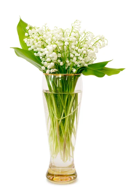 stock image Bouquet of lilies of the valley in glass vase on a white background