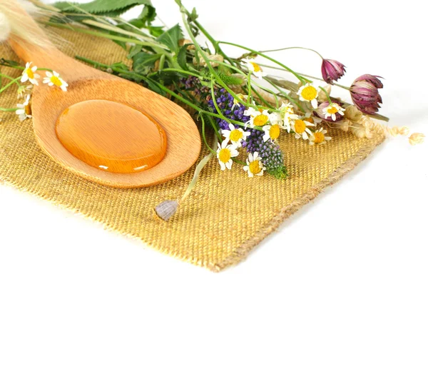 Miel y flores - fondo dulce natural —  Fotos de Stock