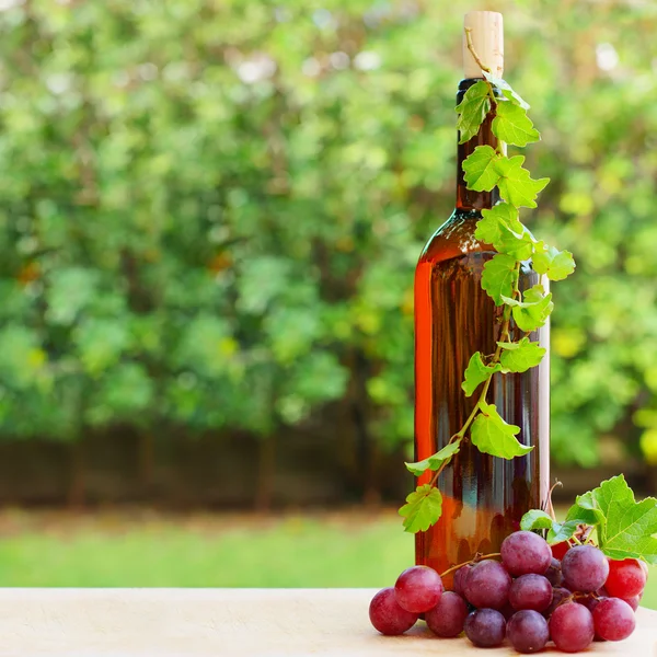 Вино, виноград и виноградник — стоковое фото