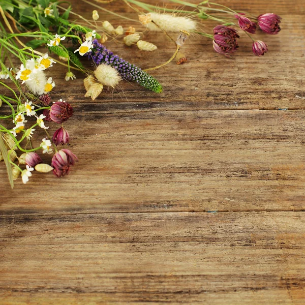 Fiori estivi su sfondo di legno — Foto Stock