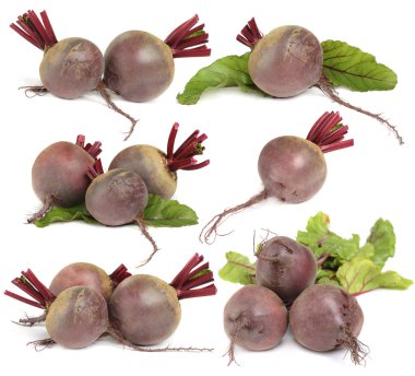 Beet vegetable isolated on white - set clipart