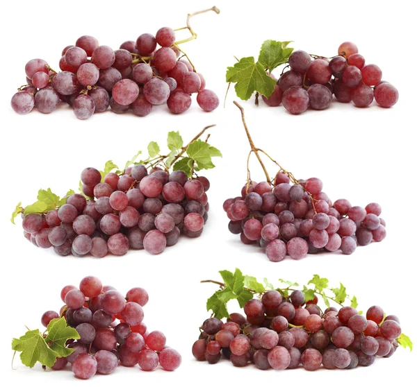 Grape of red wine isolated on white background — Stock Photo, Image