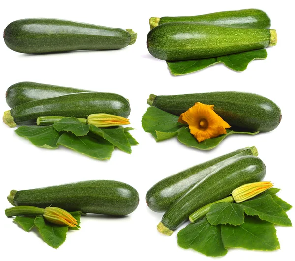 Cuketa zeleninová sada izolovaných na bílém pozadí — Stock fotografie