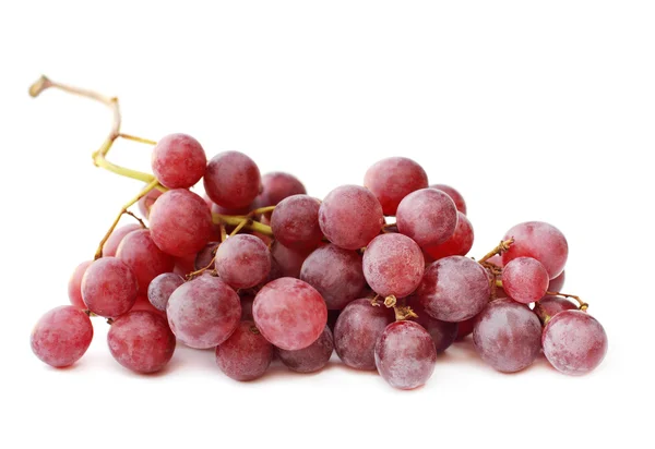 Red grape vine on white — Stock Photo, Image