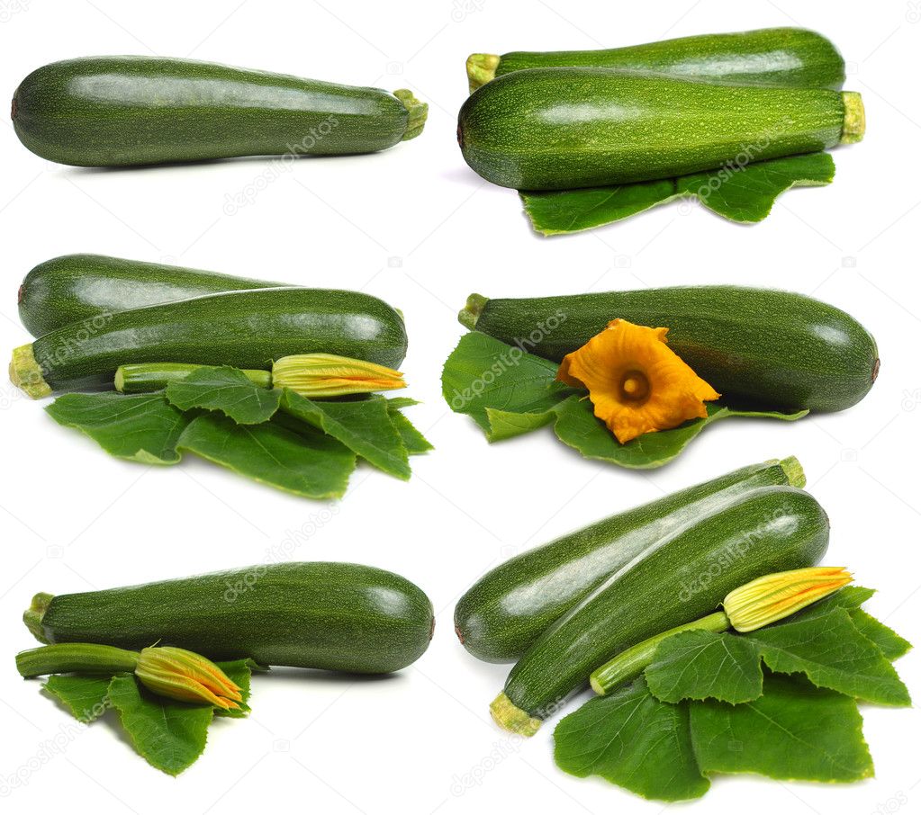 Zucchini vegetable set isolated on white background