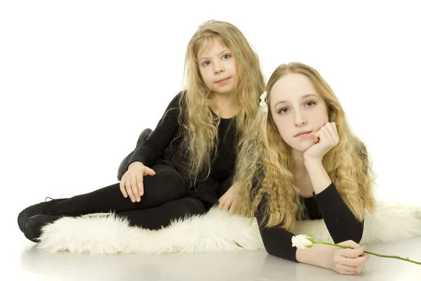Sisters - girls on white background — Stock Photo, Image