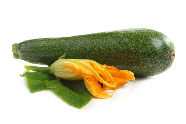 Zucchine con foglia isolata su fondo bianco — Foto Stock