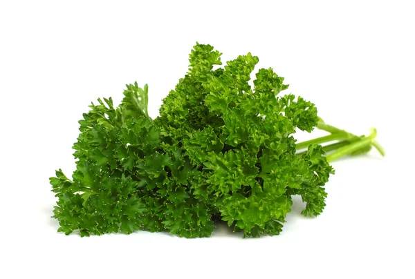 stock image Fresh Herbs - green parsley isolated on white