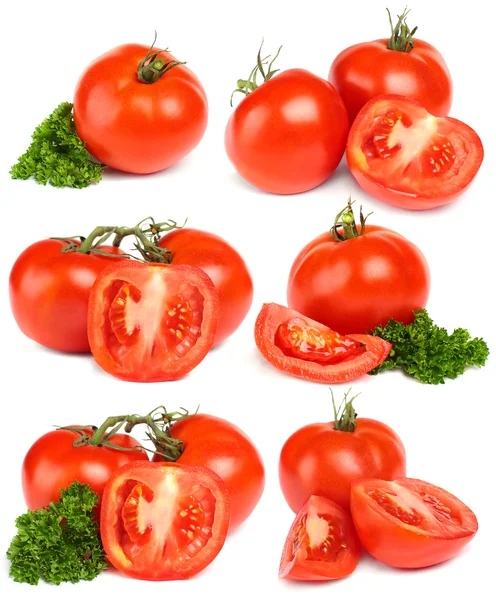 Beyaz - izole kırmızı domates sebze ayarla — Stok fotoğraf